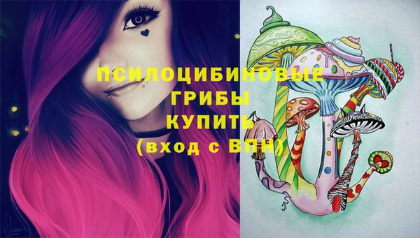 ешки Алзамай