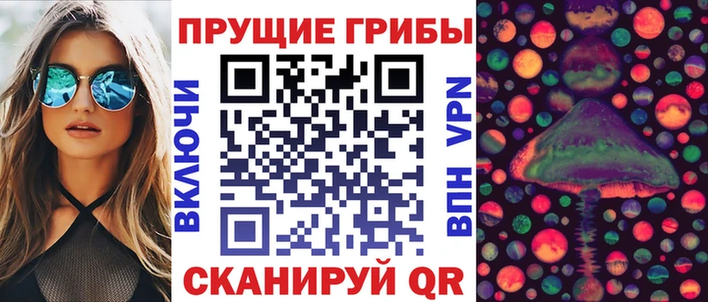 Галлюциногенные грибы Psilocybe  Кондопога 