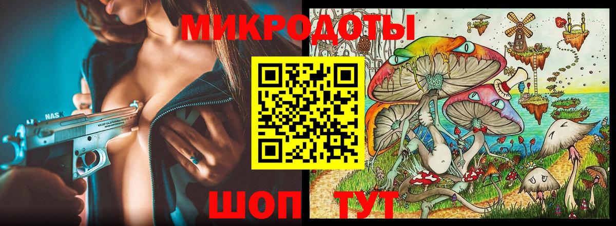 Кондопога  Псилоцибиновые грибы Psilocybe  Вход с VPN 