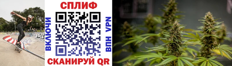 Канабис Amnesia Кондопога