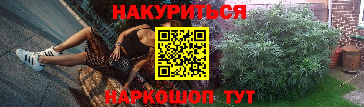 Конопля MAZAR  Шишки марихуана сатива  Кондопога  Шишки марихуана план  Вход с VPN 