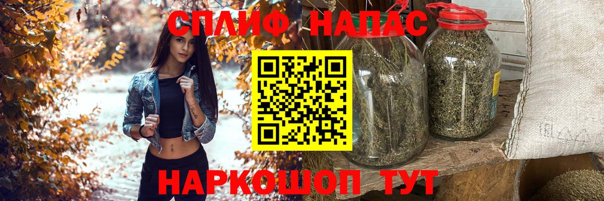 Бошки Шишки план Кондопога